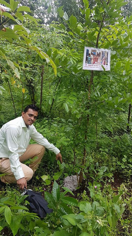 Vivek Tree Plantation Event Image 62