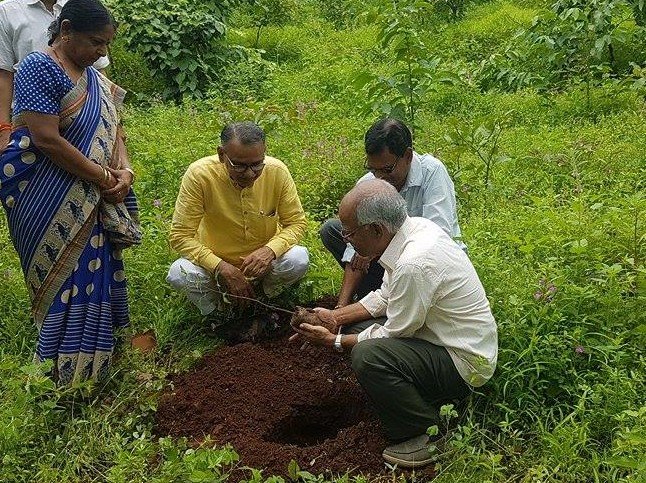 BJP Tree Plantation Image